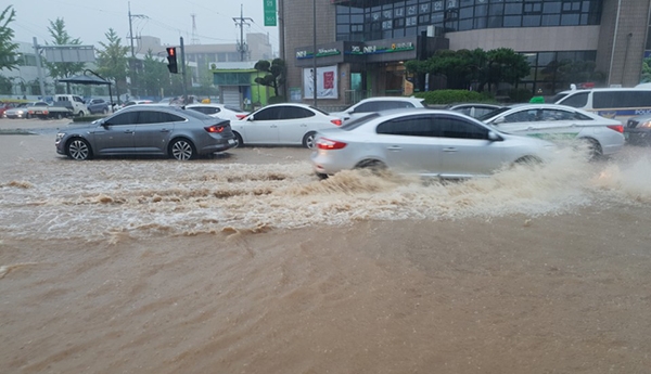 호우경보가 내려진 강원 강릉에 시간당 93㎜의 폭우가 쏟아지면서 물바다로 변한 도심에서 차들이 서행하고 있다.