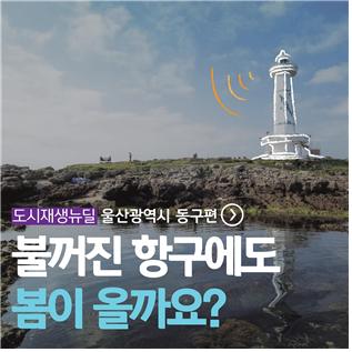 SNS 콘텐츠 공모 대상작 임다은 씨의 '불꺼진 항구에도 봄이 올까요, 울산시 동구'.(자료=LH)