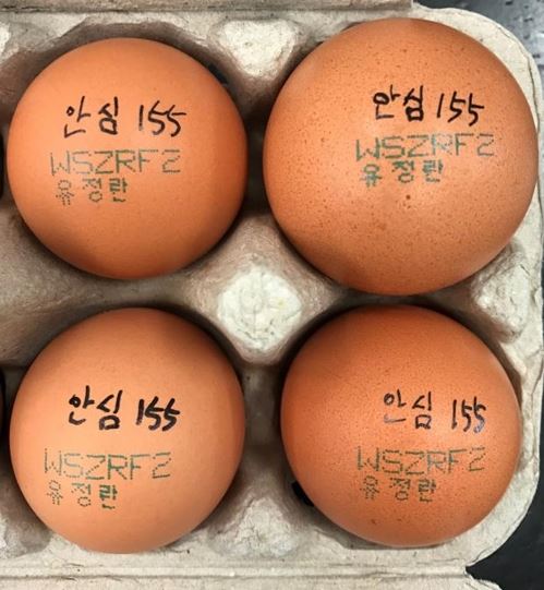사용이 금지된 항생제 성분이 검출된 계란. (사진=제주도)