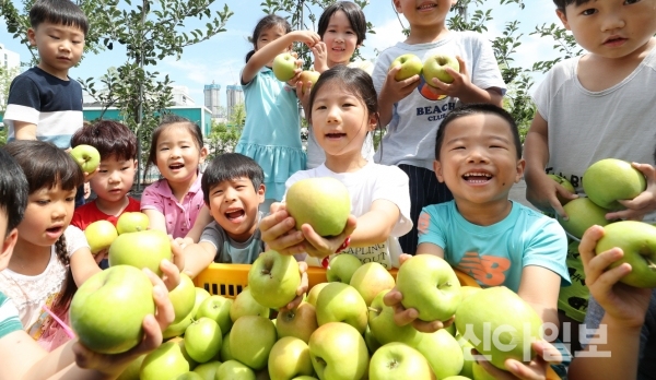 아이들이 직접 수확한 썸머킹 사과를 소개하고 있다. (사진=농촌진흥청)