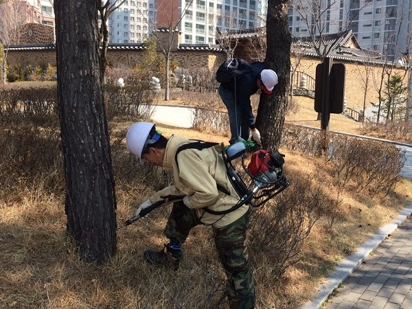 서울 용산구는 지난해에도 소나무재선충병 예방을 위해 주사작업을 진행했다. (사진=용산구)