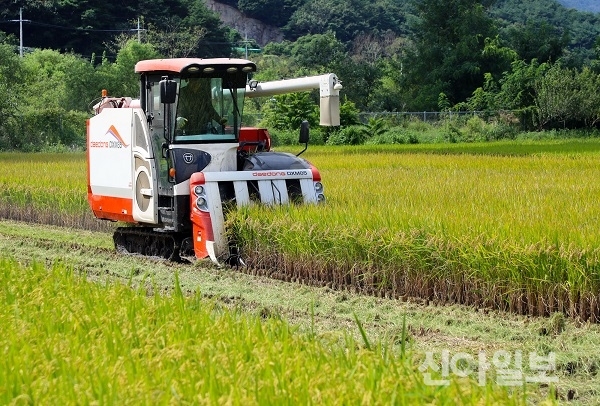 경남 밀양시는 상동면 고정리 김동환 농가에서 밀양대표 브랜드 ‘밀양아라리쌀’을 첫 수확했다. (사진=밀양시)