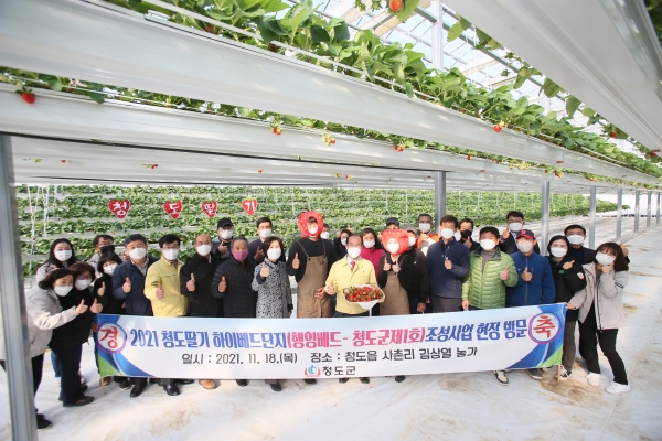 경북 청도군은 지난 18일 청도읍 소재 단디팜 농장에서 제1호 행잉베드 재배시설 딸기를 첫 출하했다. (사진=청도군)
