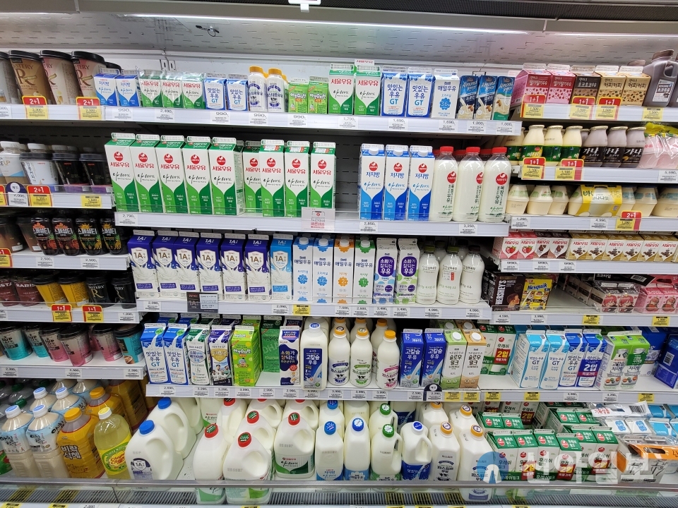 한 마트에 판매 중인 우유 제품들. 1위 서울우유와 매일유업, 남양유업, 빙그레 등 대형 유업체들은 가격인상을 단행했다. [사진=박성은 기자]