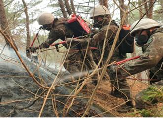 육군50보병사단 장병들이 울진 대형산불 진화에 투입되어 잔불을 정리하고 있다.