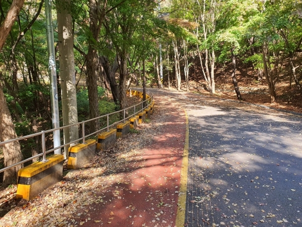 대전시, 보문산 행복숲길 무지개색으로 감성 연출 공사전 모습. (사진=대전시)