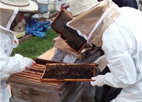 꿀벌 사육 농가 약 170호를 대상으로 오는 2월 7일 오후 1시부터 대전시 농업기술센터 대강당에서 ‘꿀벌 질병 예방 및 관리’를 하는 모습 (사진=대전보건환경연구원)