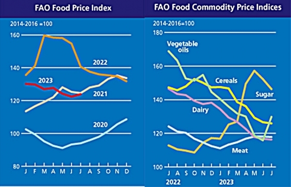 연도(왼쪽)품목별 세계식량지수 그래프.(사진=농식품부)