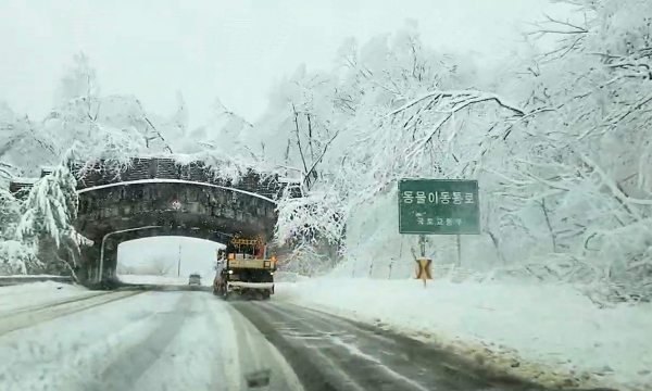 강원 산지를 중심으로 많은 눈이 내린 15일 강원 고성군 간성읍 진부령이 설국으로 변해 있다.(사진=연합뉴스)