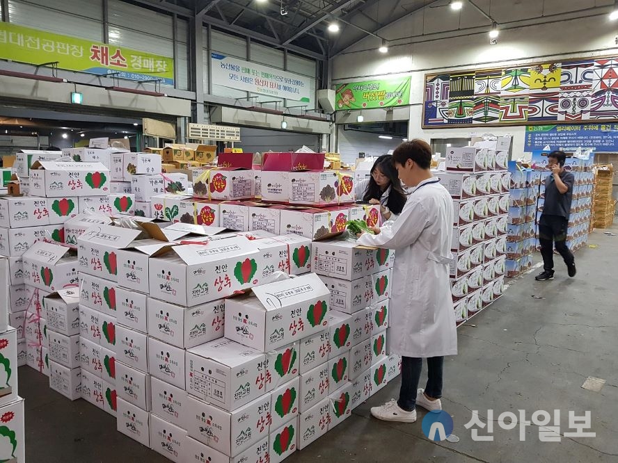 농수산물 도매시장 농산물 수거 및 점검 (사진=대전보건환경연구원)