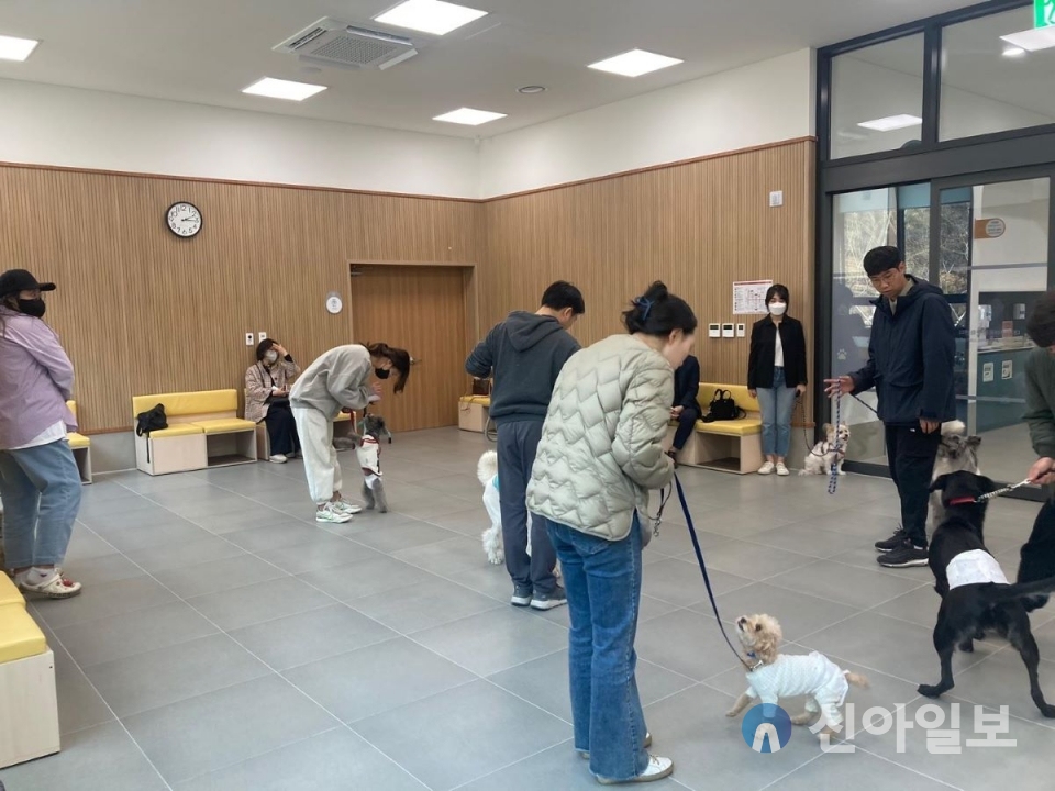 대전반려동물공원, 상반기 교육 프로그램 운영 (사진출처=대전농물보호사업소)