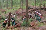 강진군, 재해우려지역 숲가꾸기 산물 집중 수거