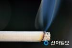성인男 흡연율 첫 30%대… 담뱃값 인상·금연지원 확대 효과
