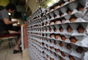 "달걀 가득한데"… 살충제 계란 파문에 양계농가·상인 &apos;울상&apos;