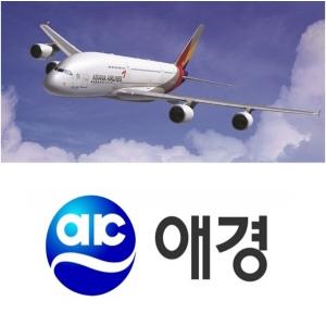 애경그룹, 아시아나 인수전 자신…“국내 대표 항공사로 성장시킬 것”