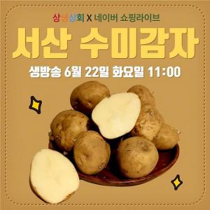 서산6쪽마늘·팔봉산 감자…네이버 쇼핑라이브서 할인 판매