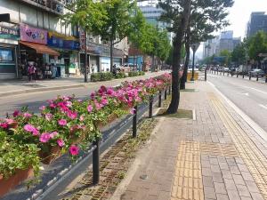 강북구, 도심지 사계절 꽃길거리 조성
