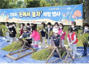 [포토] 양천, ‘논에서 놀자!!’ 가을걷이 벼 베기 체험하는 아이들의 모습