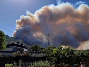 밀양 산불 확산에… 행안장관 "가용 자원 총동원"