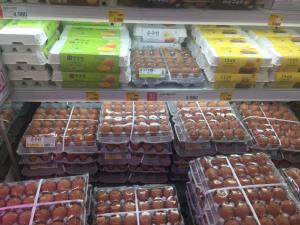 농식품부 "닭고기·계란 수급 안정적…밀크플레이션 가능성 낮아"