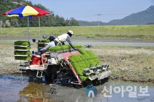 농식품부, 올해부터 아세안지역 쌀 원조 2배 확대