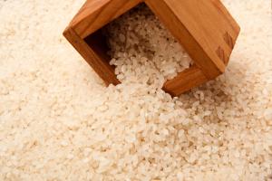 남아도는 쌀…내년 정부양곡 40만t &apos;사료용&apos; 처분