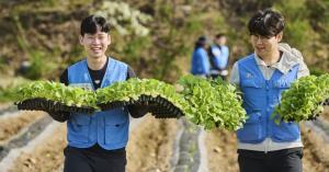 KT&G 임직원, 잎담배 모종이식 봉사…"농가 상생"