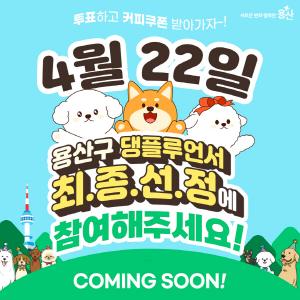 ‘용산구 댕플루언서’, 홍보견 선정 온라인 투표 진행