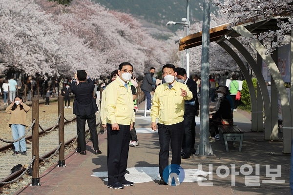 허성무 경남 창원시장은 진해 벚꽃명소를 방문해 방역 수칙을 점검했다.(사진=창원시)