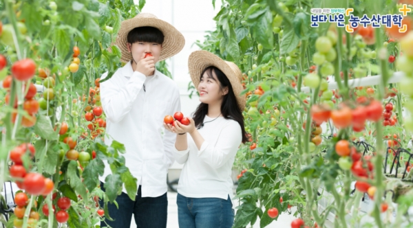 한국농수산대 온라인 홍보물 캡쳐. (출처=한농대 공식 블로그)