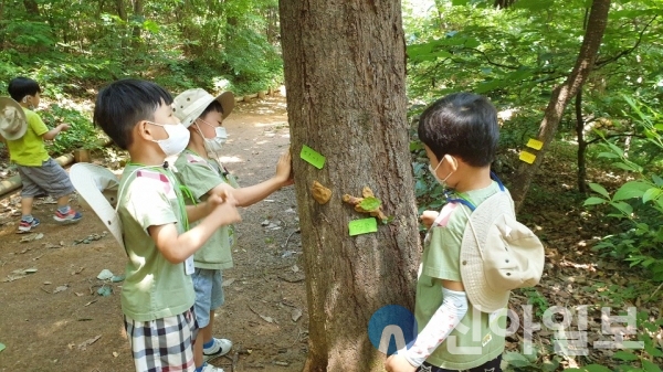 사진은 지난해 명일공원 앨리스유아숲에서 진행된 유아숲체험원 교육 모습.(사진=강동구)