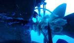 동해해경, 독도 해상서 표류 어선 구조