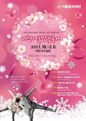 제천, 겨울 벚꽃축제 개최한다