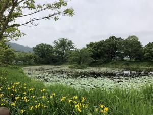 함평 모정마을숲, 국가산림문화자산 지정