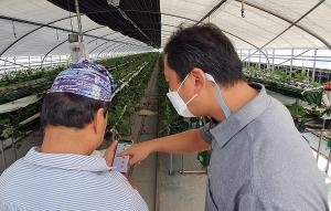 함평군, 스마트팜 ICT 융복합사업 등 내년도 농림축산식품사업 신청