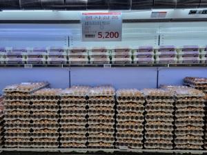 농협, 계란 300만개 푼다…설맞이 할인판매