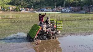 홍천군, 민·관 협업 농작업대행사업 큰 호응