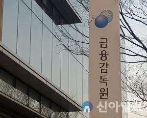 금감원 '2022년도 온라인 회계현안설명회' 개최