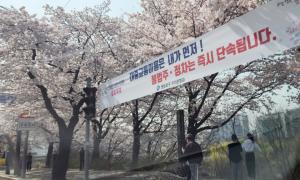 [포토] "여의도 봄꽃 축제, 불법 주정차 NO"