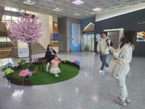 경북교육청정보센터, 봄맞이 벚꽃 포토존 설치 지역민에 큰 호응 얻다