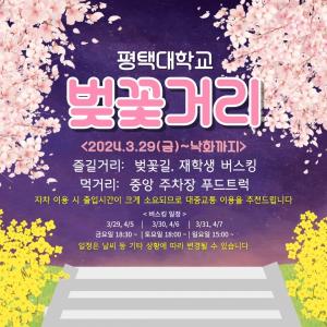 평택대, 29일 봄맞이 개방행사 ‘벚꽃거리’ 개최